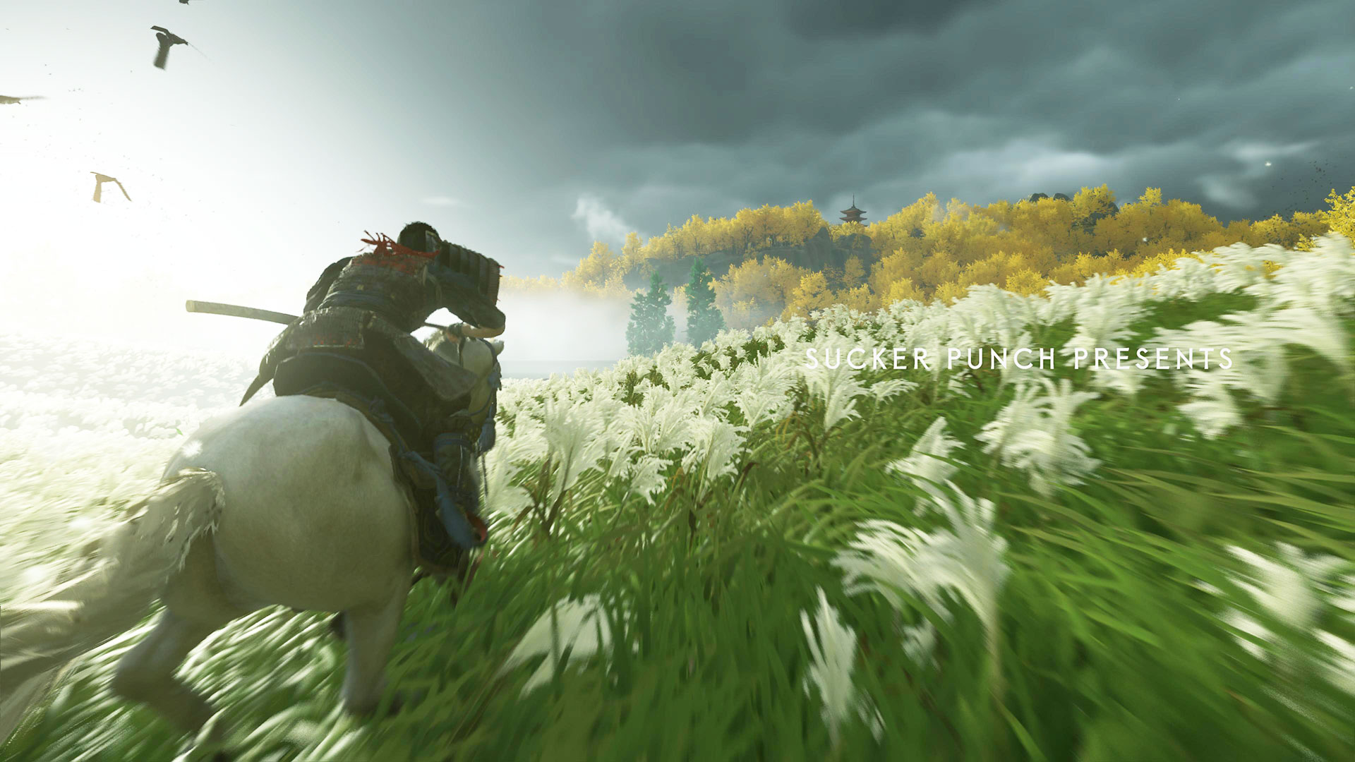 『Ghost of Tsushima(ゴーストオブツシマ)』馬を駆ける仁